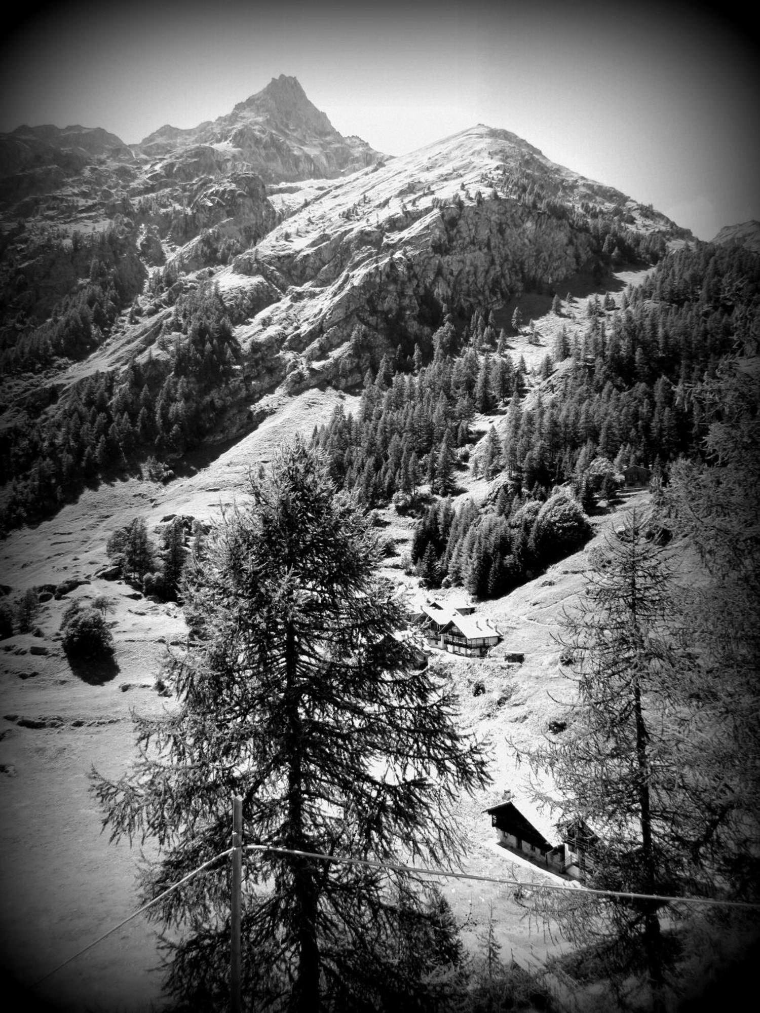 Il Piccolo Residence Gressoney-la-Trinité Zewnętrze zdjęcie