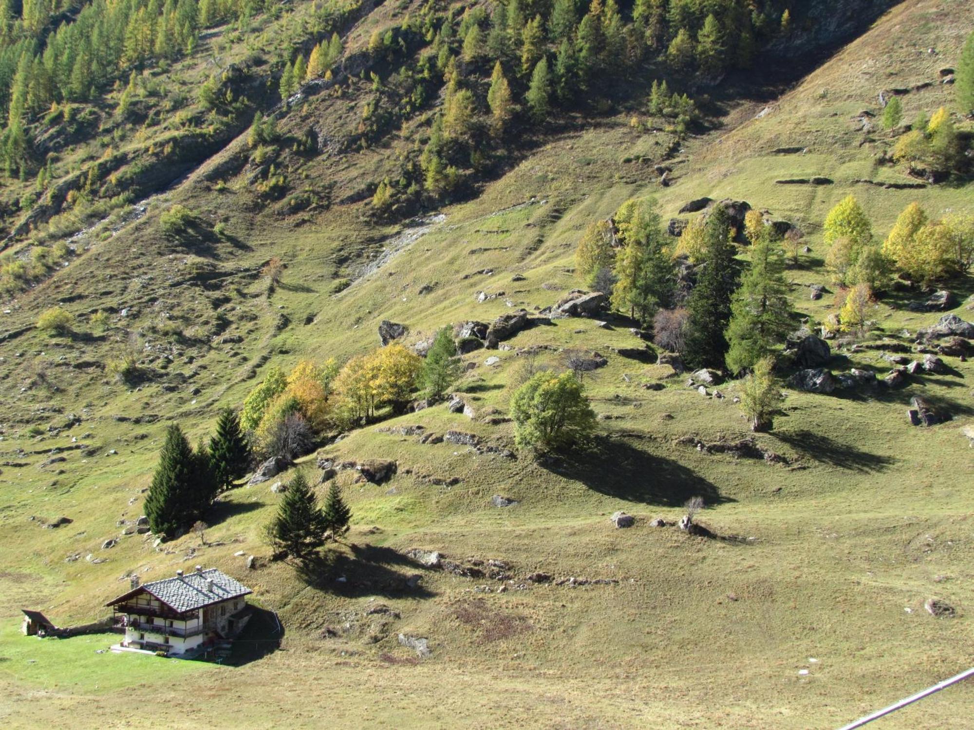 Il Piccolo Residence Gressoney-la-Trinité Zewnętrze zdjęcie